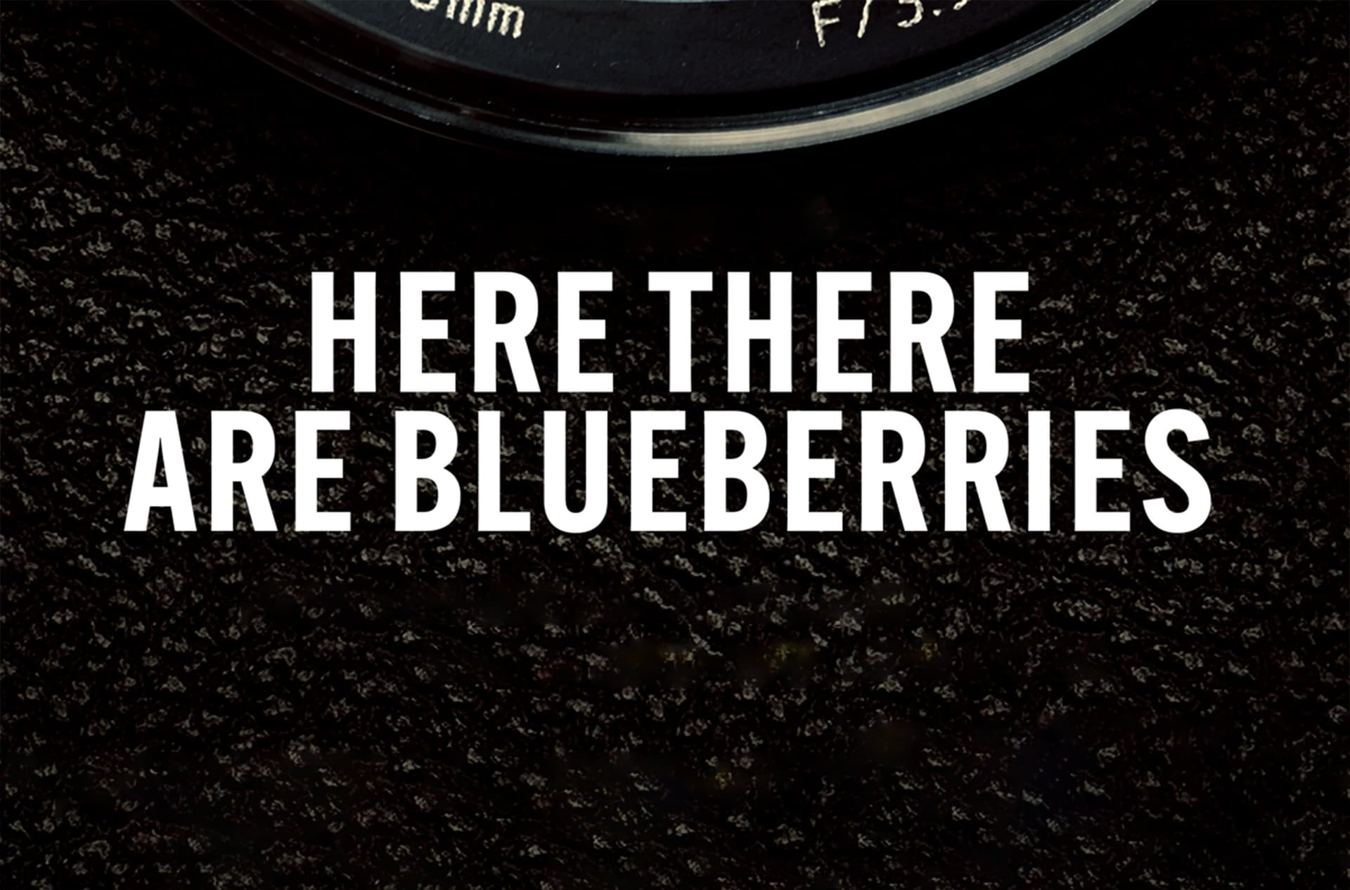 Here There Are Blueberries