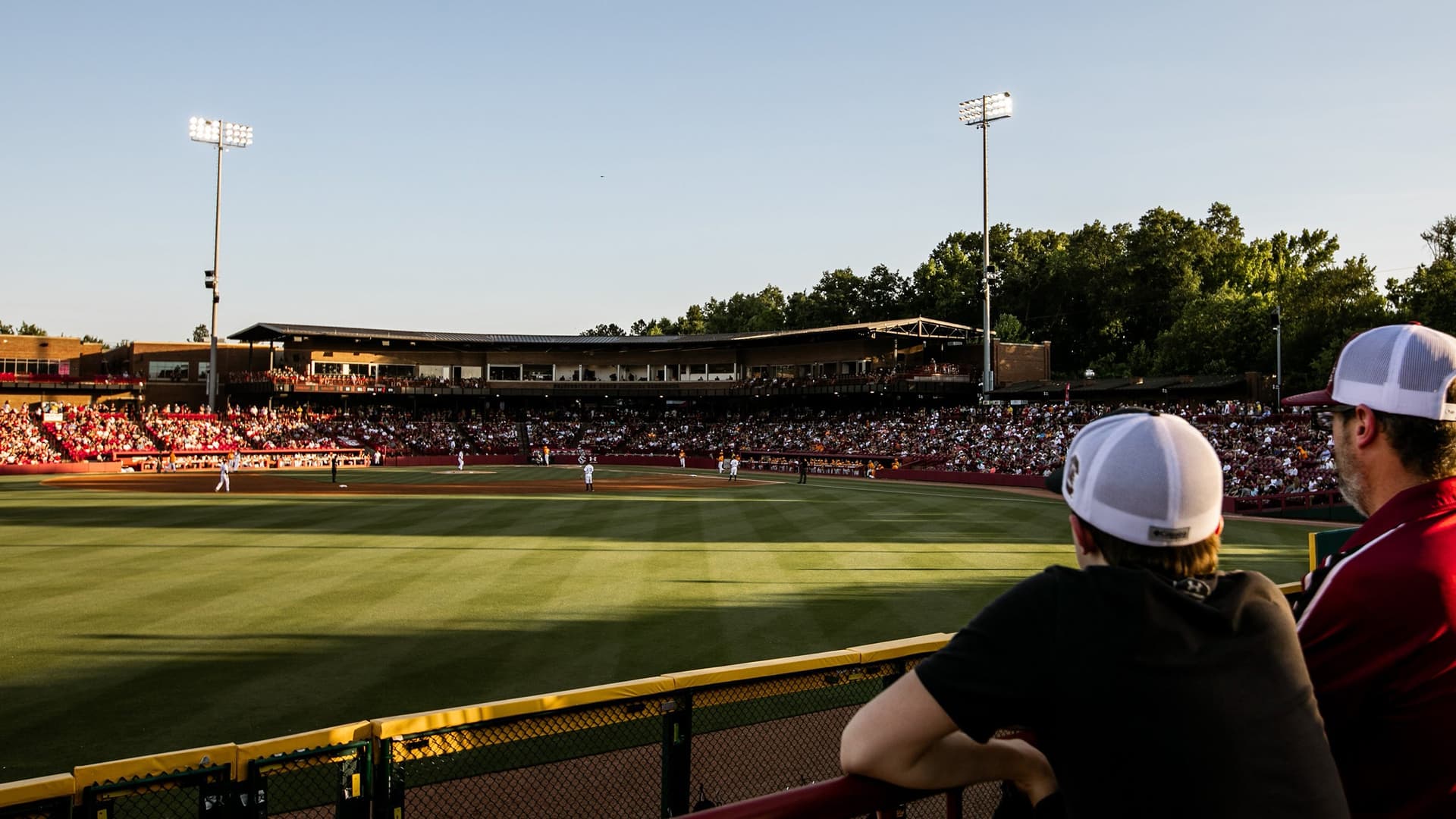 South Carolina Gamecocks Baseball vs. Charleston Cougars Baseball