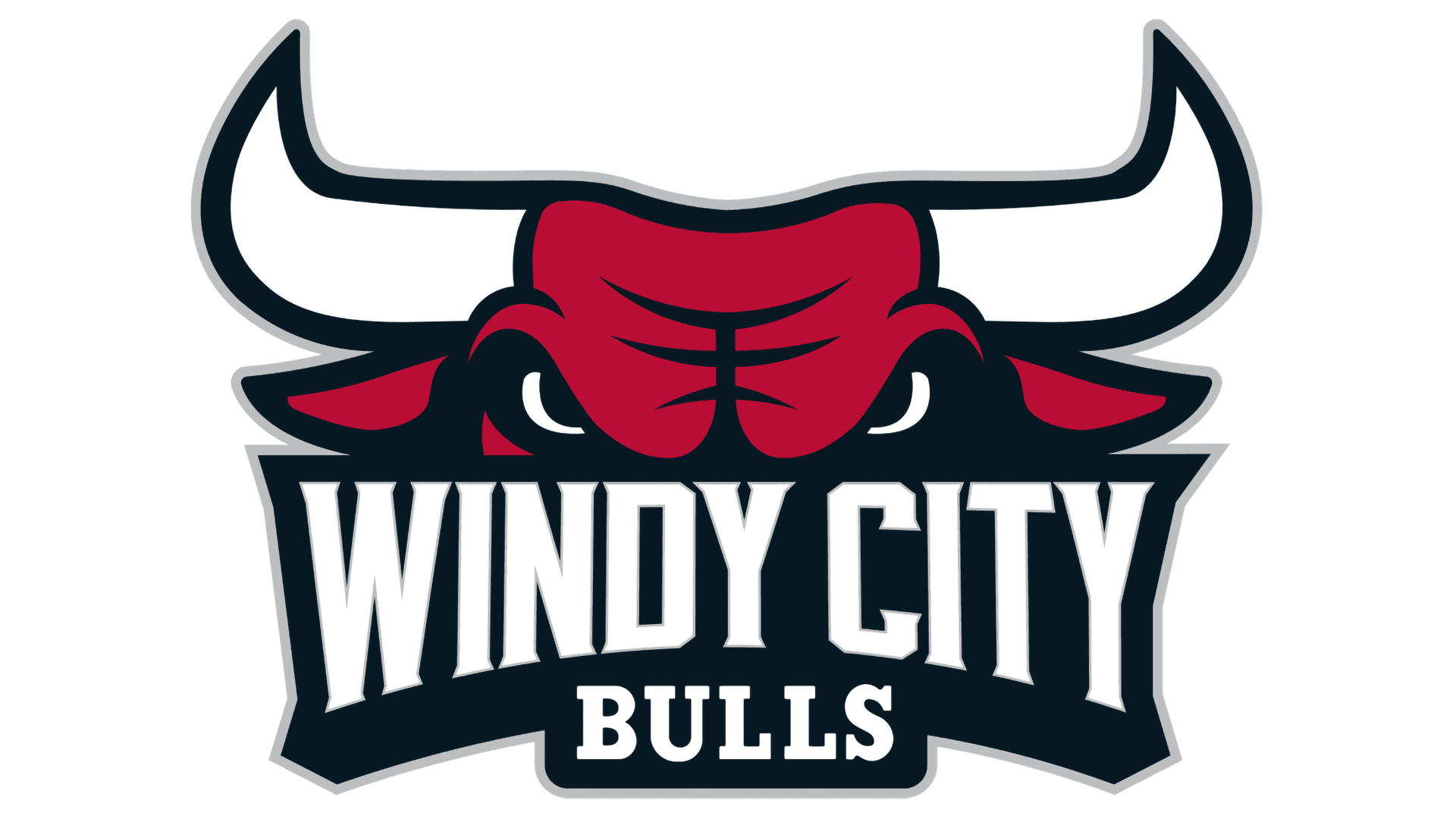 Windy City Bulls