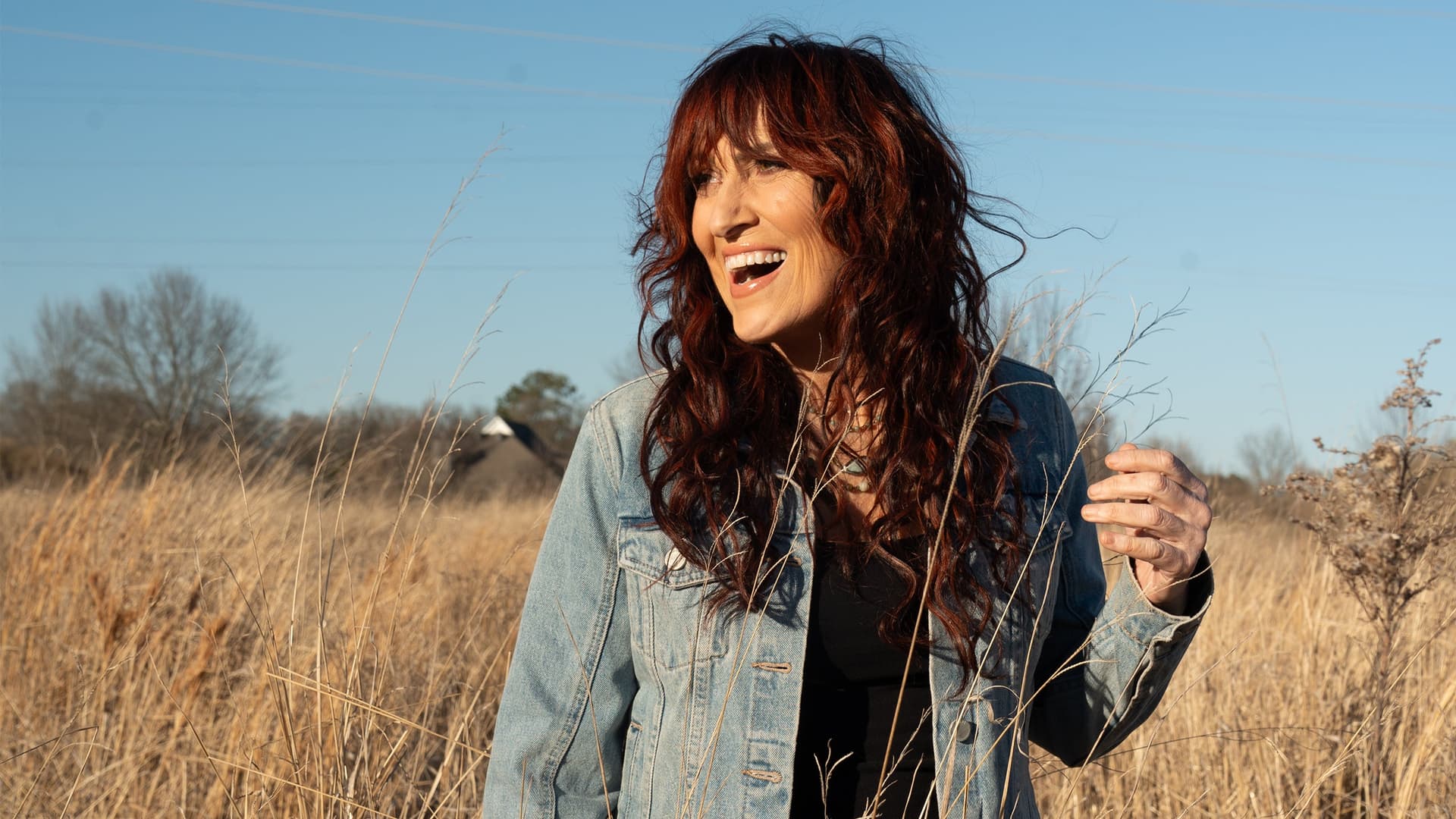 Jo Dee Messina - Bridges Tour