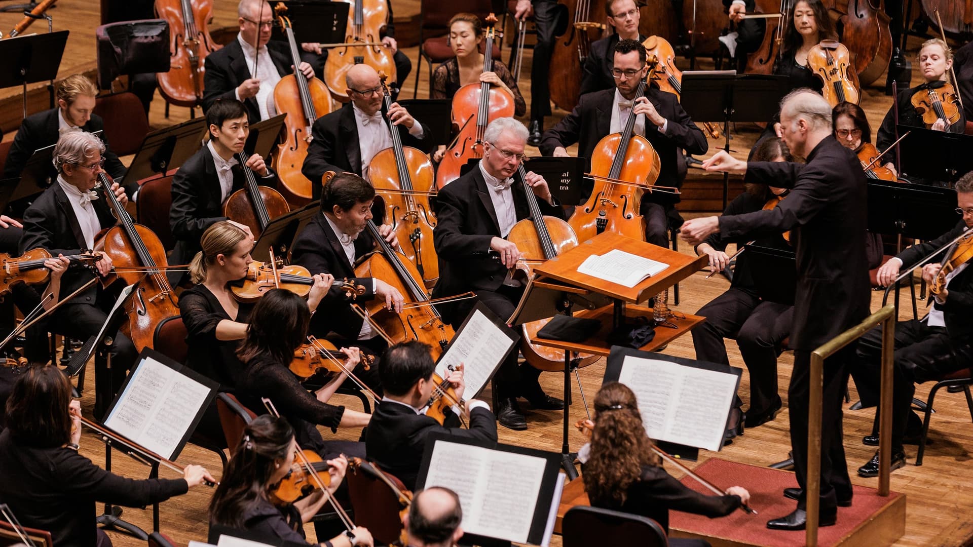 National Symphony Orchestra Family Concert:  Halloween Spooktacular