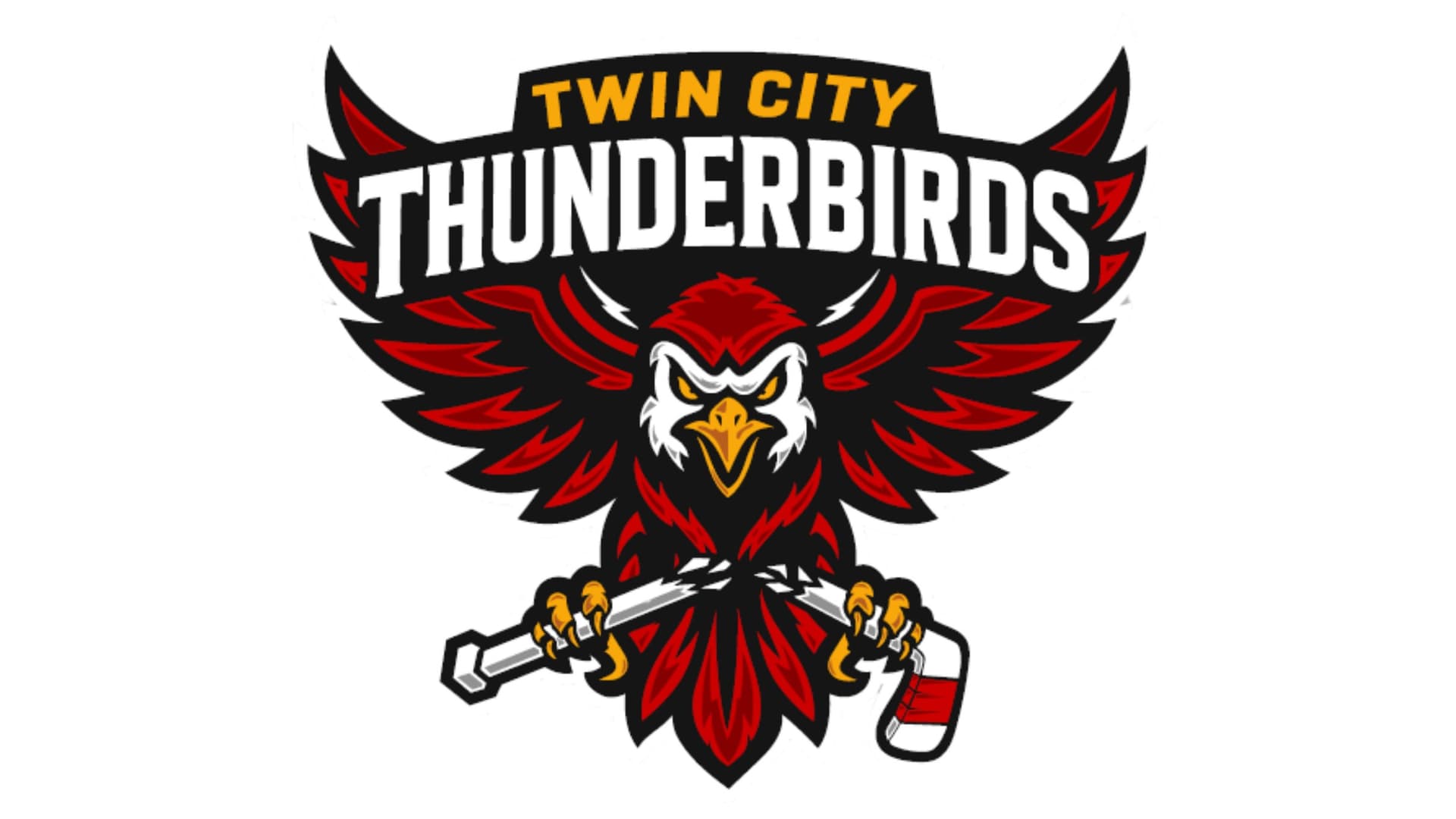 Twin City Thunderbirds Vs Blue Ridge Bobcats