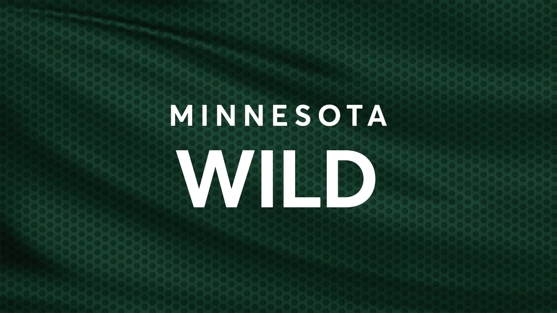 Minnesota Wild vs. Dallas Stars