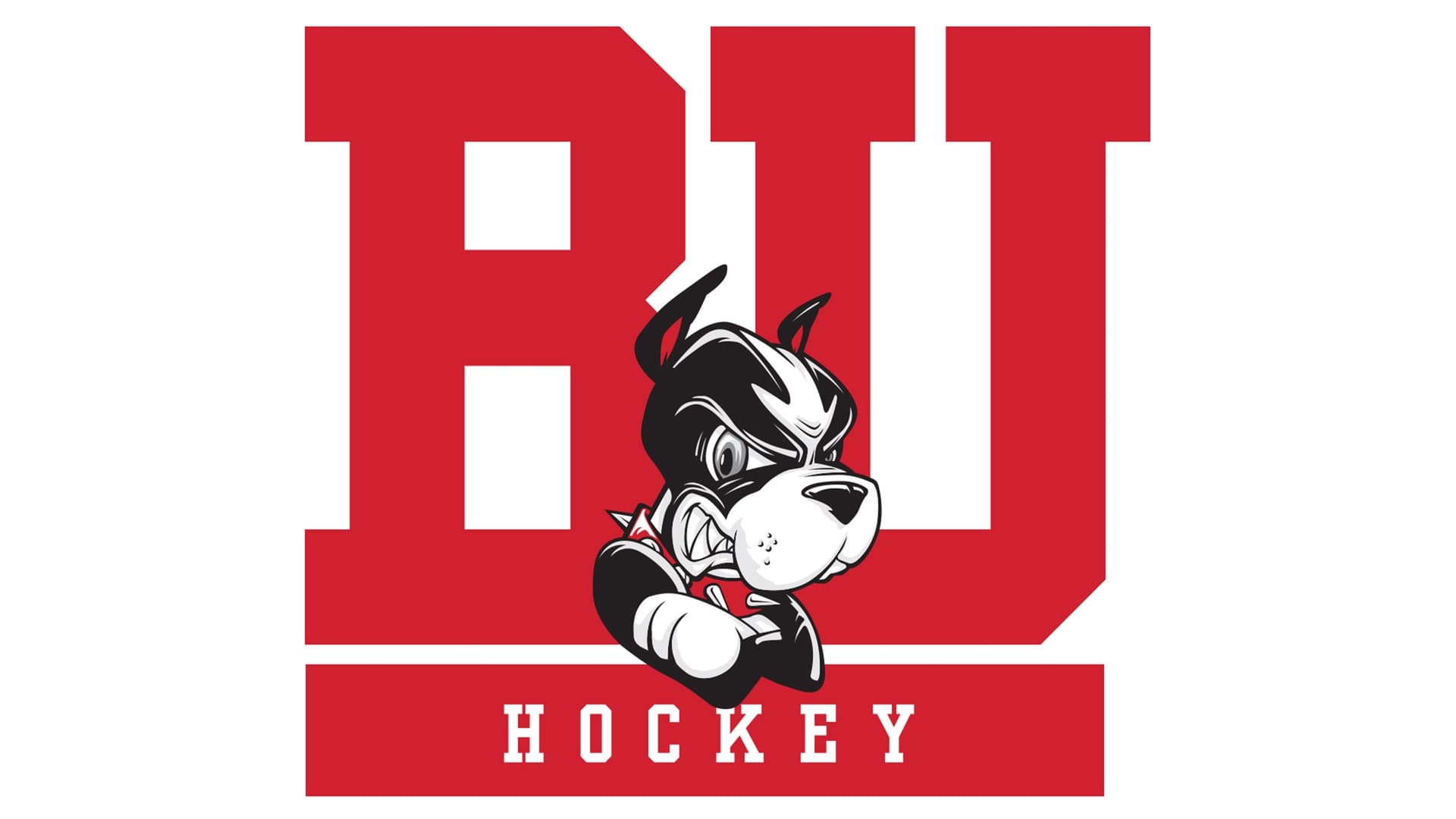 Boston University Womens Hockey vs. Colgate University Women's Hockey