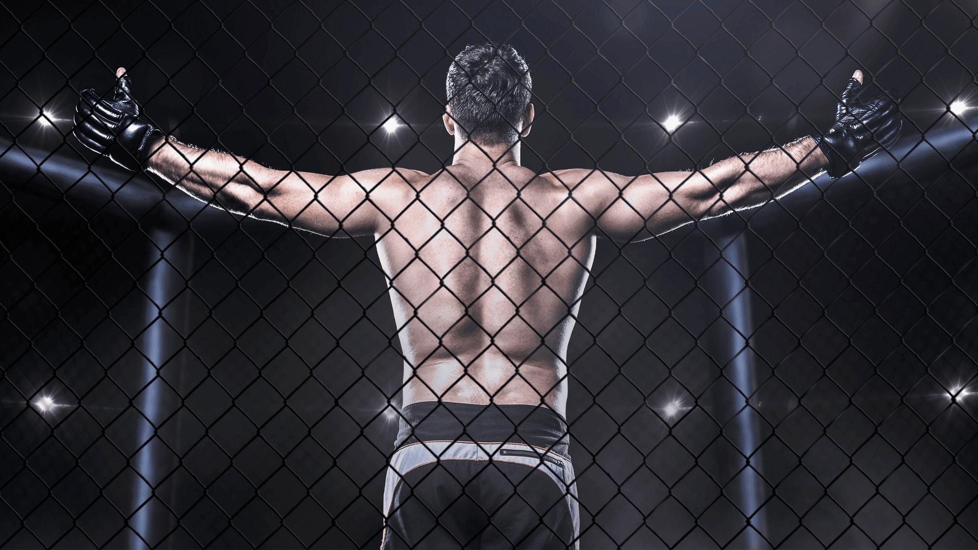 FAC MMA 36