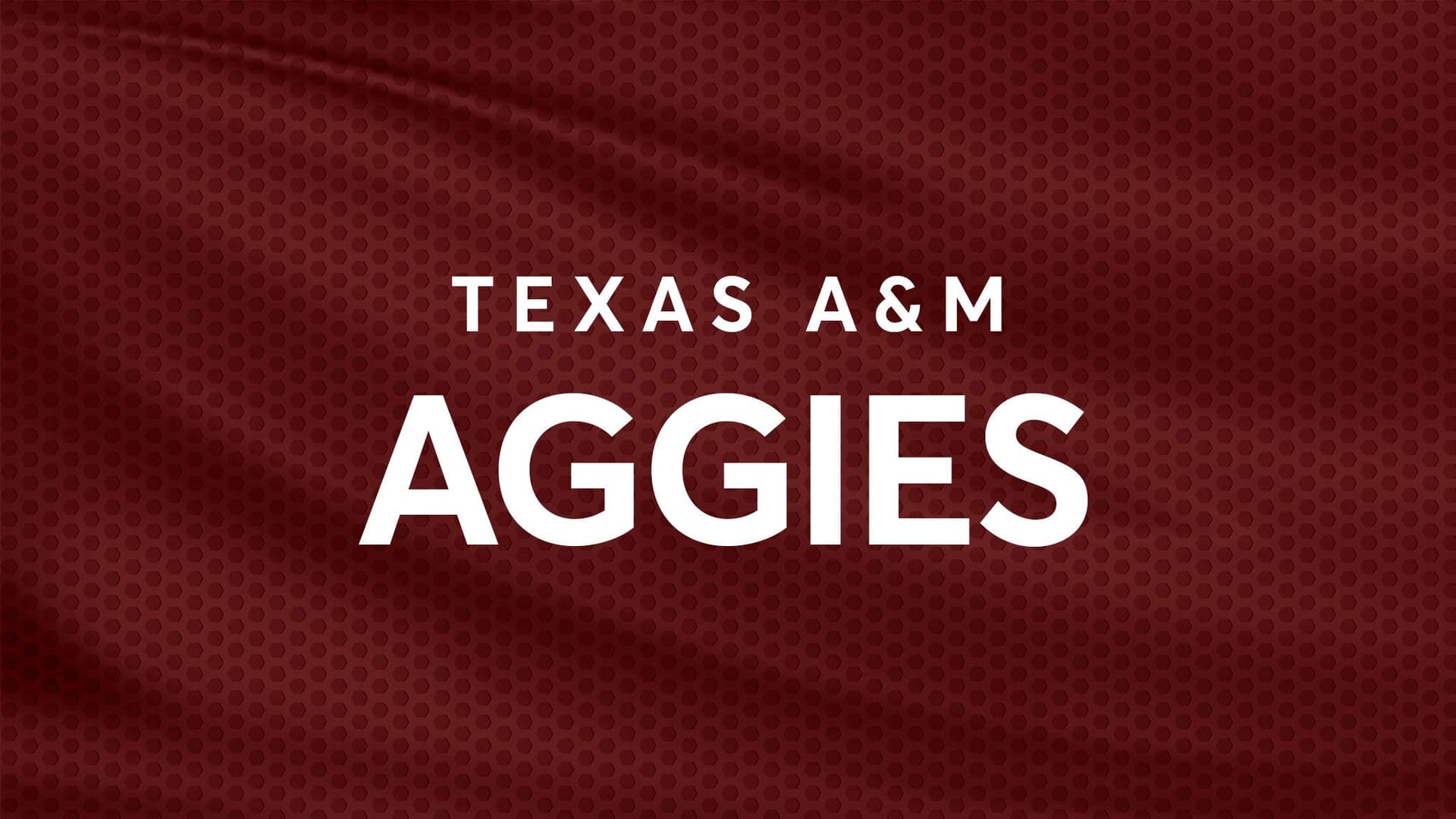 Texas A&M Aggies Womens Basketball vs. Arkansas Pine Bluff Golden Lions Womens Basketball