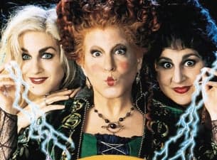The Hocus Pocus Experience