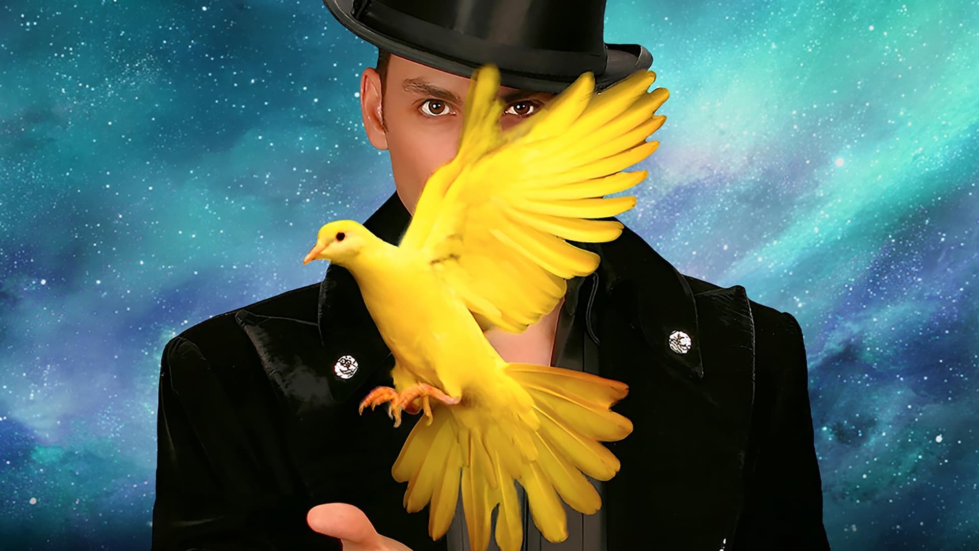 Allstars of Magic Allstars of Magic
