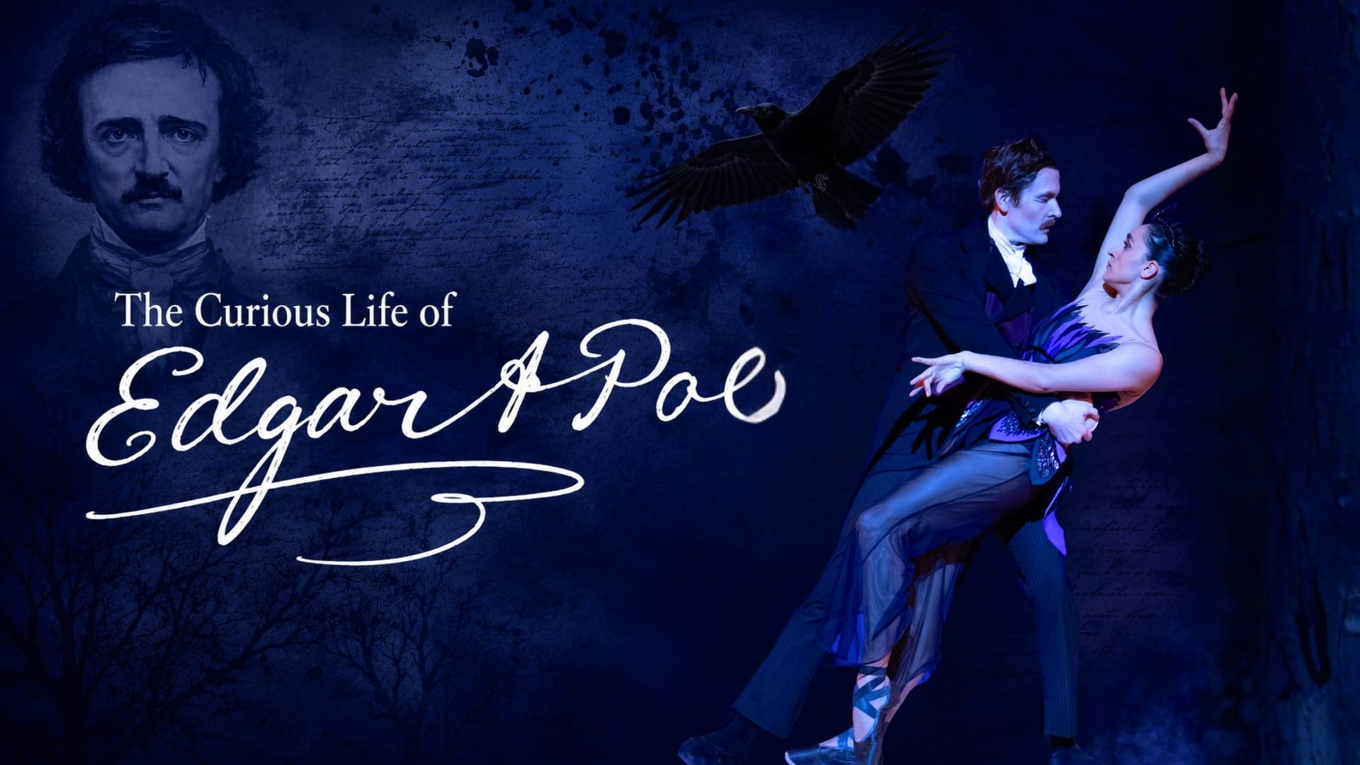 The Curious Life of Edgar Allan Poe The Curious Life of Edgar Allan Poe