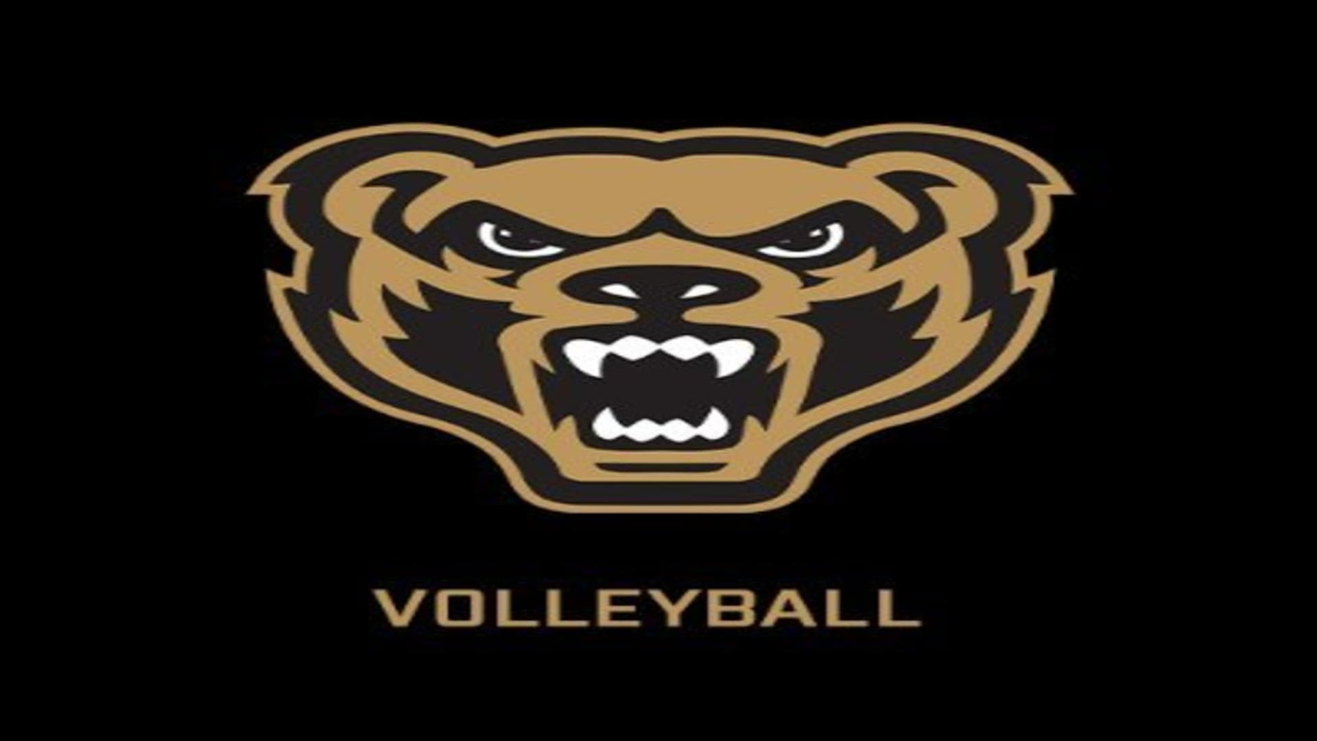 Oakland University Golden Grizzlies Volleyball vs. Wright State University Volleyball Oakland University Golden Grizzlies Volleyball vs. Wright State University Volleyball