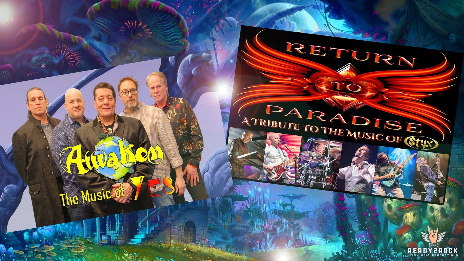 AWAKEN & RETURN TO PARADISE AWAKEN & RETURN TO PARADISE