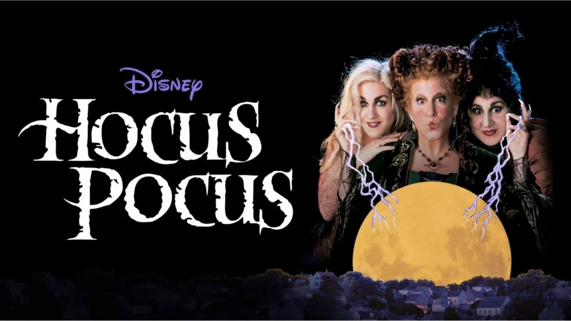 Hocus Pocus Hocus Pocus